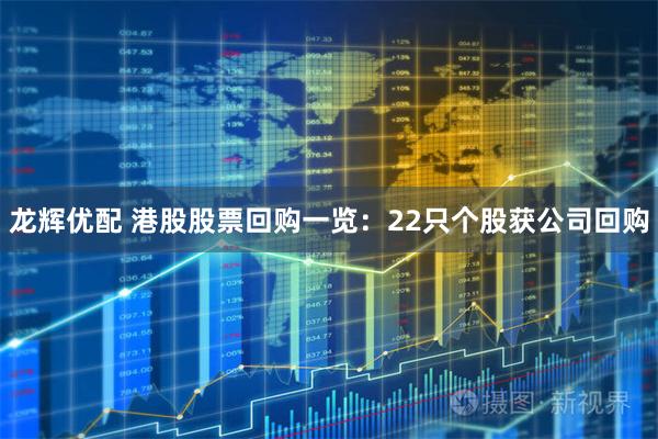 龙辉优配 港股股票回购一览：22只个股获公司回购
