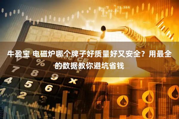 牛盈宝 电磁炉哪个牌子好质量好又安全？用最全的数据教你避坑省钱