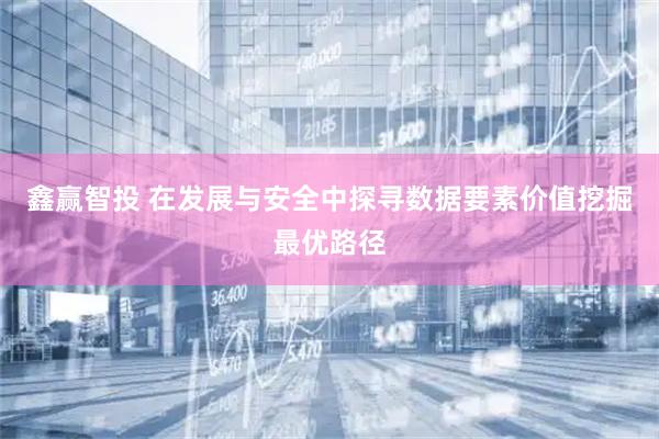 鑫赢智投 在发展与安全中探寻数据要素价值挖掘最优路径