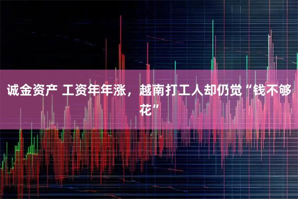 诚金资产 工资年年涨，越南打工人却仍觉“钱不够花”