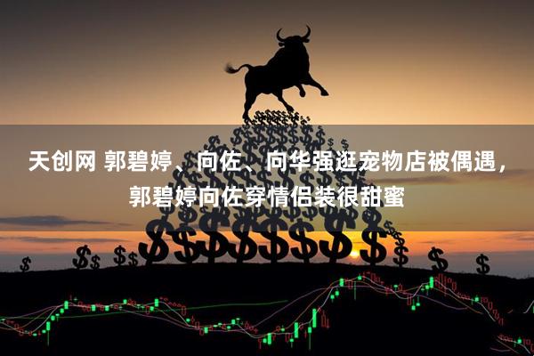 天创网 郭碧婷、向佐、向华强逛宠物店被偶遇，郭碧婷向佐穿情侣装很甜蜜