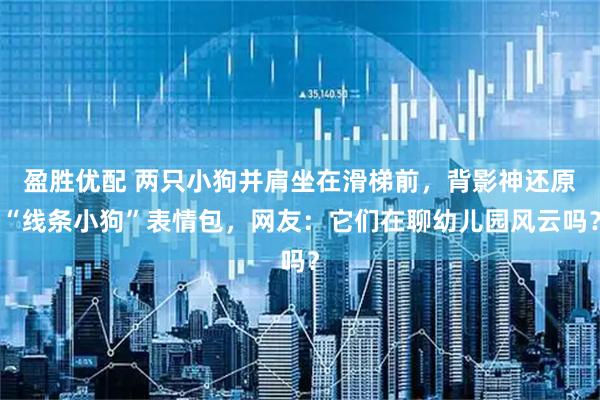 盈胜优配 两只小狗并肩坐在滑梯前，背影神还原“线条小狗”表情包，网友：它们在聊幼儿园风云吗？