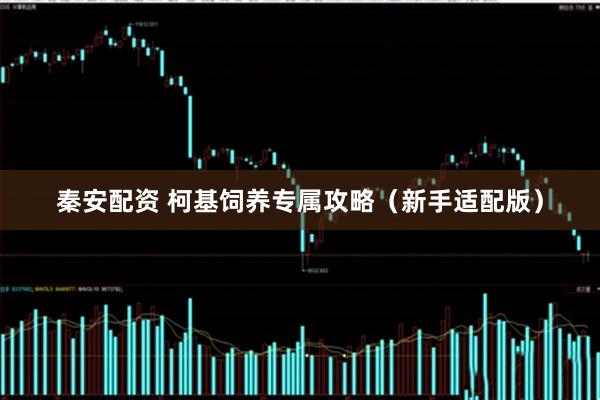 秦安配资 柯基饲养专属攻略(新手适配版)