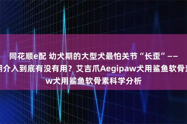 同花顺e配 幼犬期的大型犬最怕关节“长歪”——软骨素早期介入到底有没有用?艾吉爪Aegipaw犬用鲨鱼软骨素科学分析
