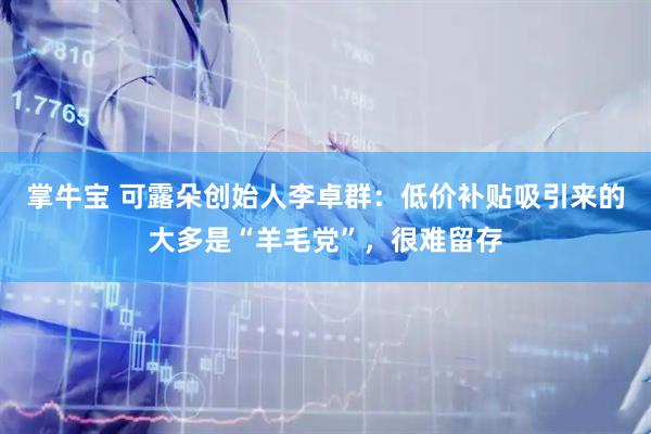 掌牛宝 可露朵创始人李卓群：低价补贴吸引来的大多是“羊毛党”，很难留存