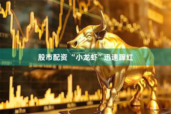 股市配资 “小龙虾”迅速蹿红