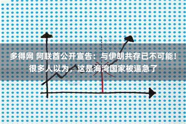 多得网 阿联酋公开宣告：与伊朗共存已不可能！很多人以为，这是海湾国家被逼急了