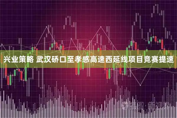 兴业策略 武汉硚口至孝感高速西延线项目竞赛提速