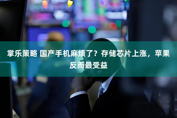 掌乐策略 国产手机麻烦了？存储芯片上涨，苹果反而最受益