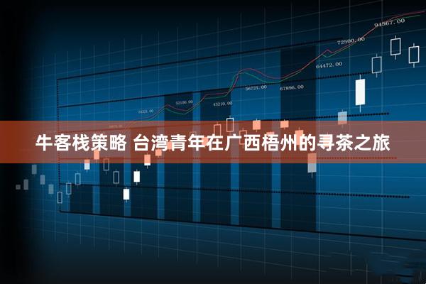 牛客栈策略 台湾青年在广西梧州的寻茶之旅
