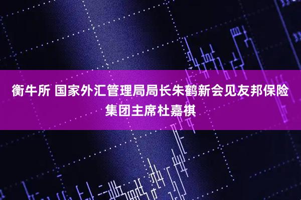 衡牛所 国家外汇管理局局长朱鹤新会见友邦保险集团主席杜嘉祺