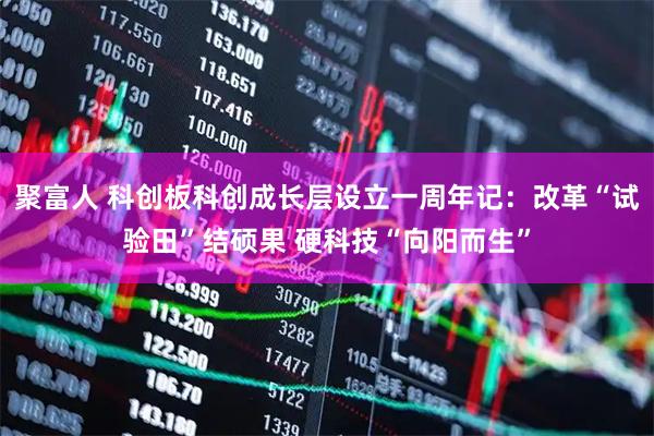 聚富人 科创板科创成长层设立一周年记：改革“试验田”结硕果 硬科技“向阳而生”