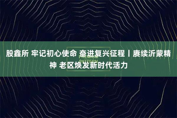 股鑫所 牢记初心使命 奋进复兴征程丨赓续沂蒙精神 老区焕发新时代活力