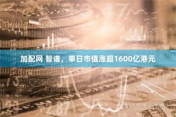 加配网 智谱，单日市值涨超1600亿港元